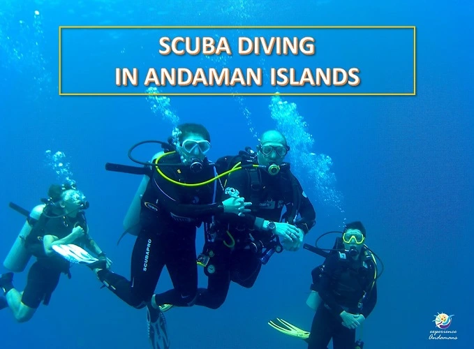 Scuba Dive