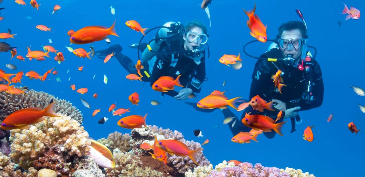 Eternal Andamans